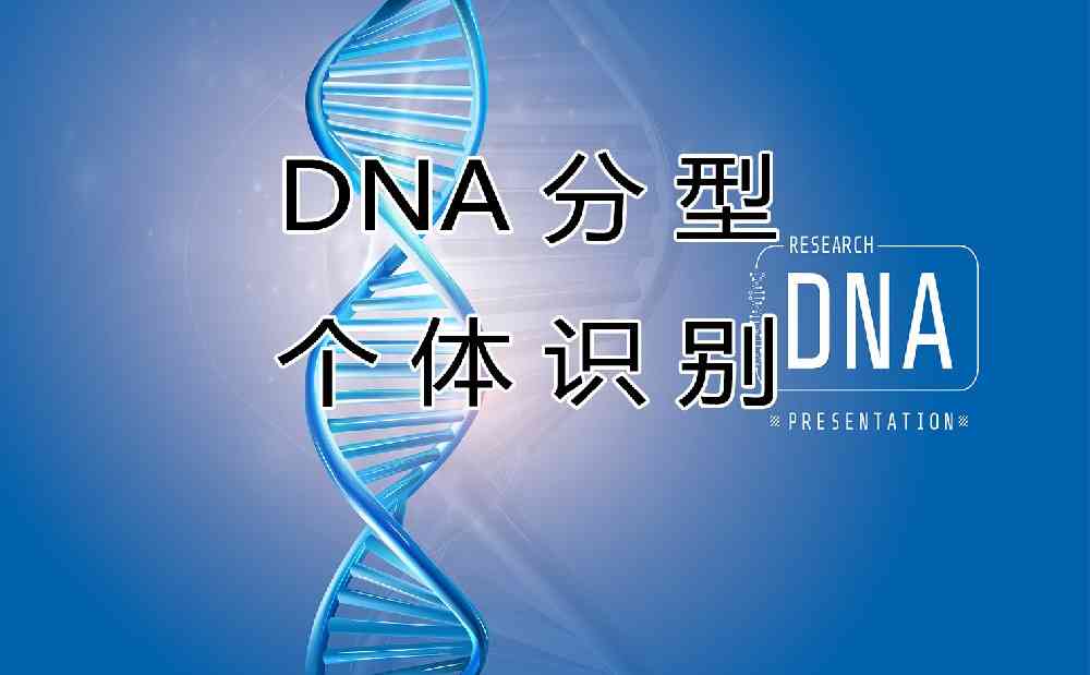 深圳DNA个体识别与DNA分型：解密科技带来的准确性和隐私挑战