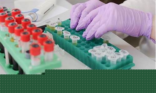 亲子鉴定 上户口(父亲亲子鉴定上户口)