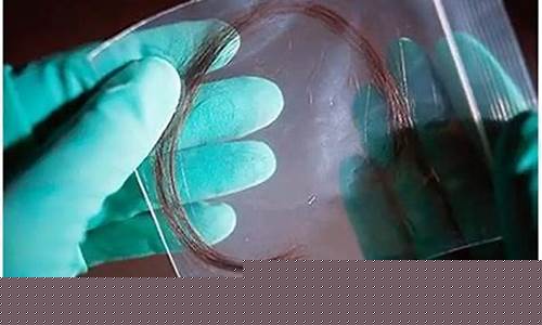 一般用头发做亲子鉴定需要多少钱(10招判断孩子是否亲生)