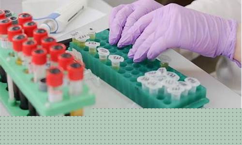 做dna亲子鉴定去哪里做(dna亲子鉴定去哪里做比较好)