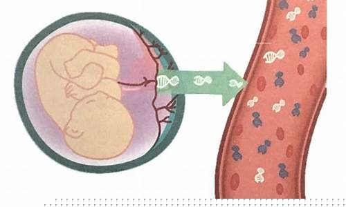 胎儿亲子鉴定多少周可以做(胎儿亲子鉴定要多少钱的费用)